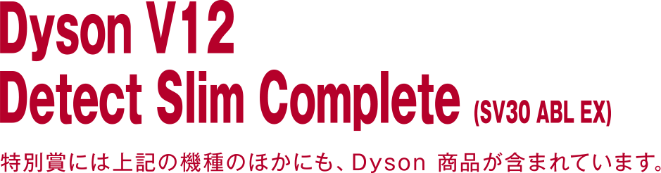 Dyson V12