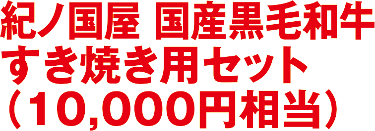 紀ノ国屋 国産黒毛和牛すき焼き用セット（10,000円相当）
